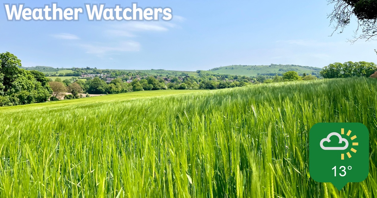 Report BBC Weather Watchers