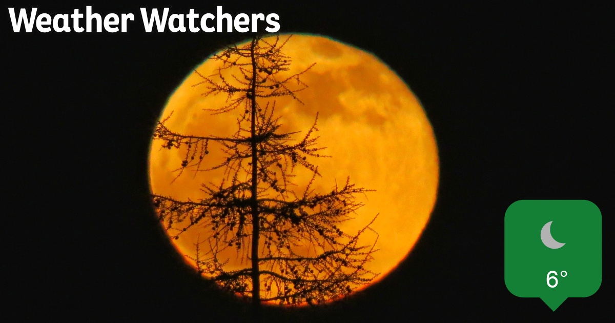 Report BBC Weather Watchers
