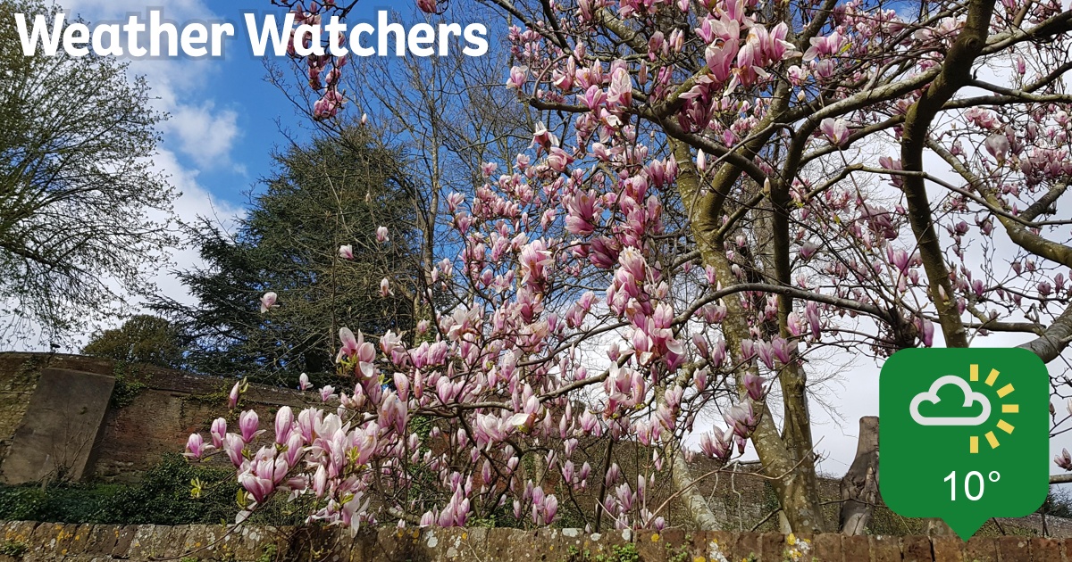 Report BBC Weather Watchers