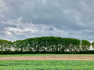 Tenbury Wells - BBC Weather