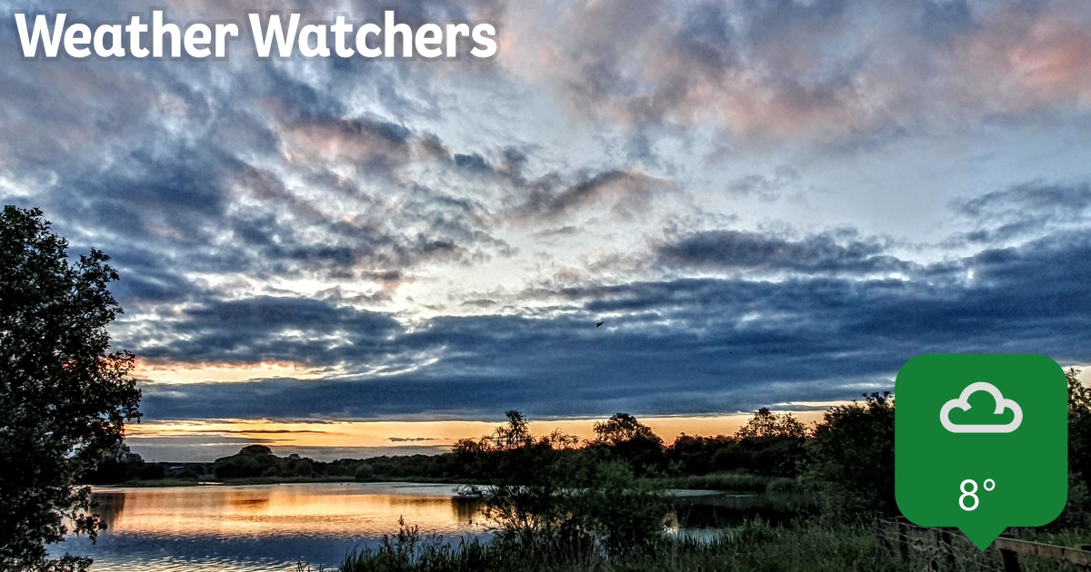 weather watcher review