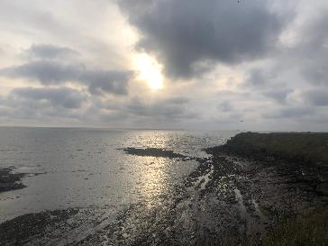 durham ellington shields