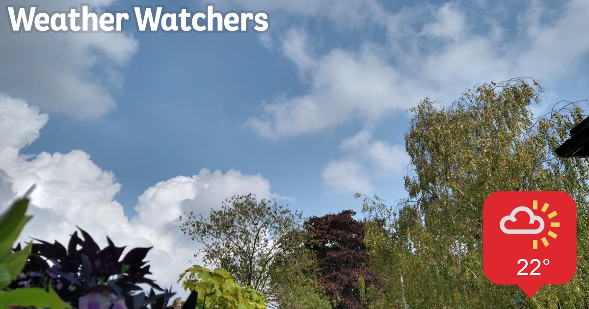 Report BBC Weather Watchers