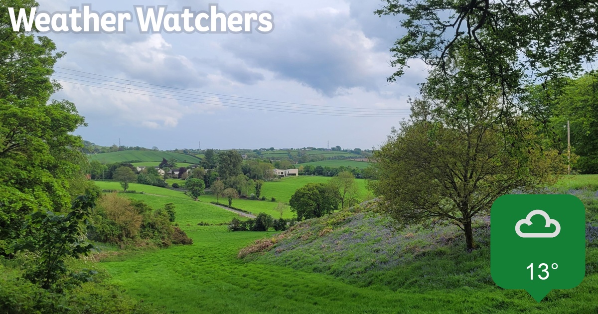 Report - BBC Weather Watchers