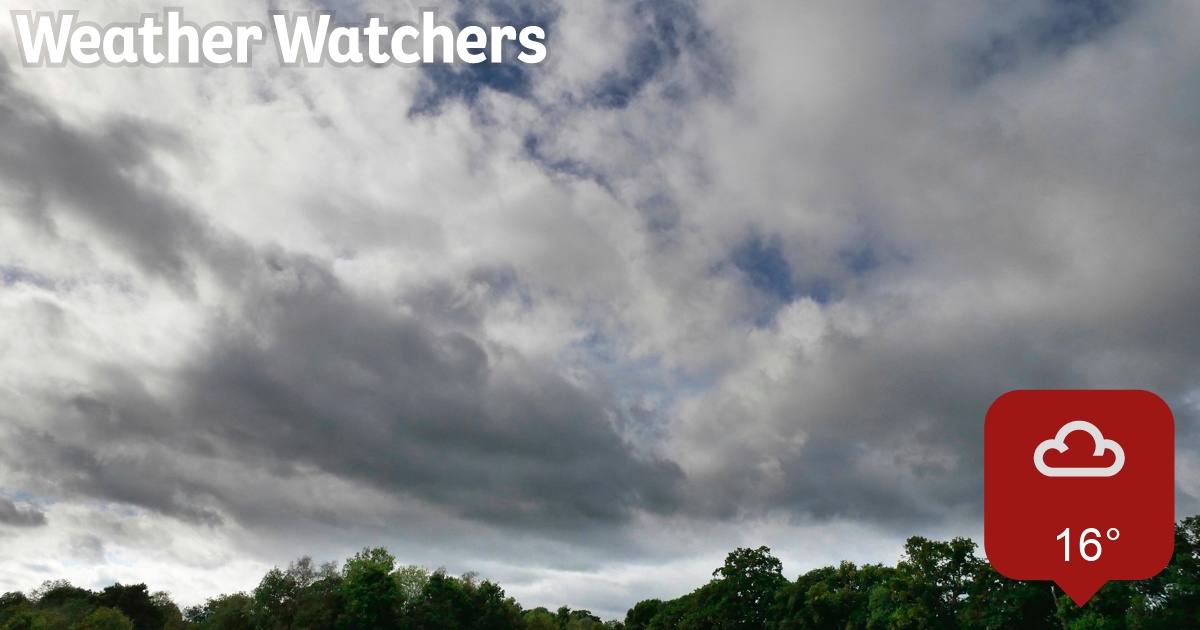 Report BBC Weather Watchers