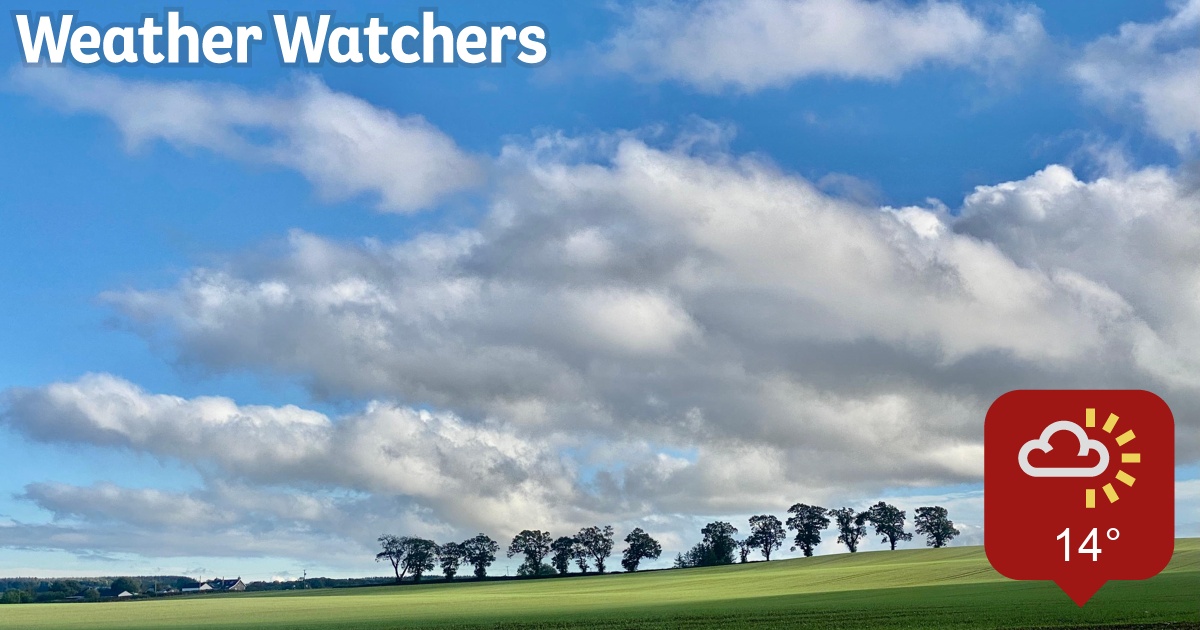 Report - BBC Weather Watchers