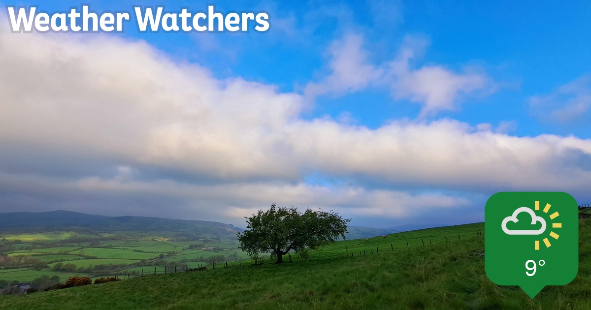 Report - BBC Weather Watchers