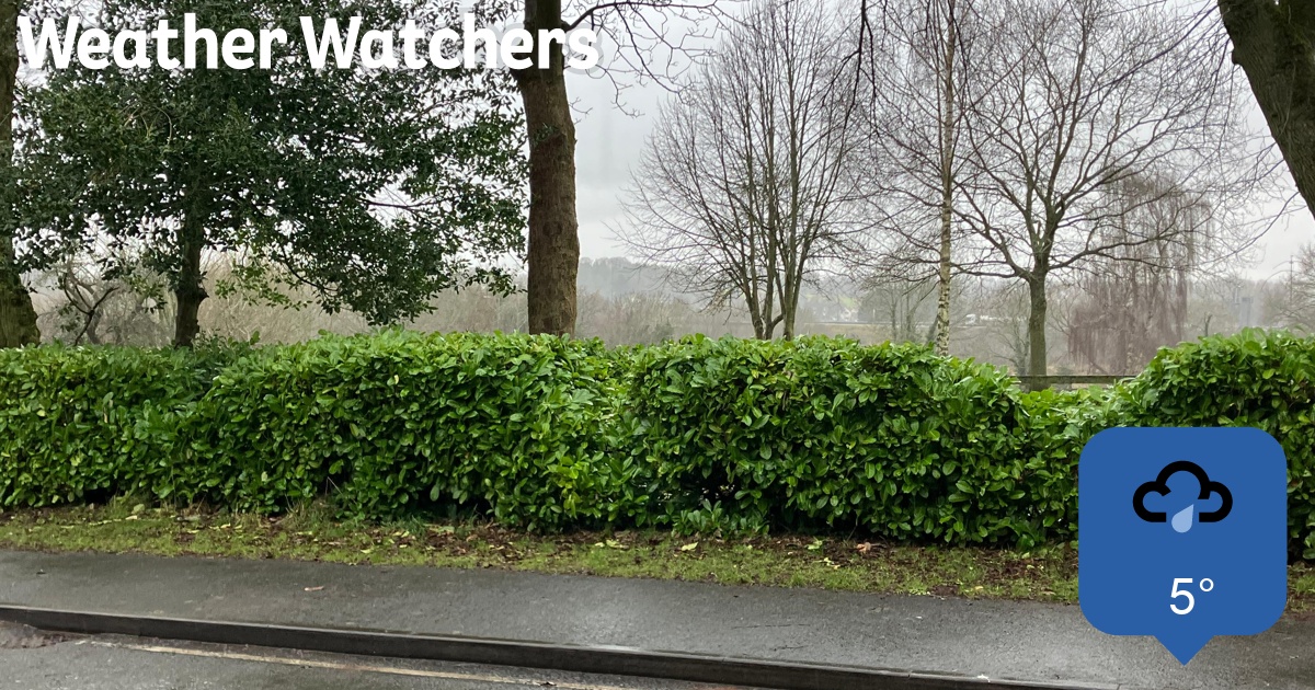 Report - BBC Weather Watchers