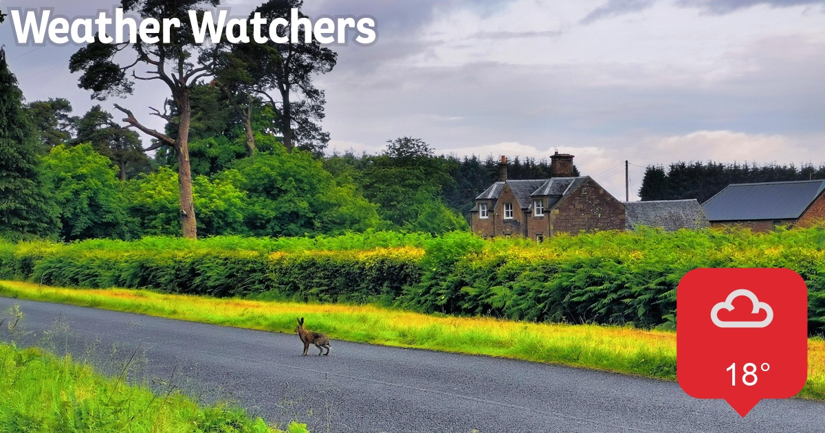 Report BBC Weather Watchers