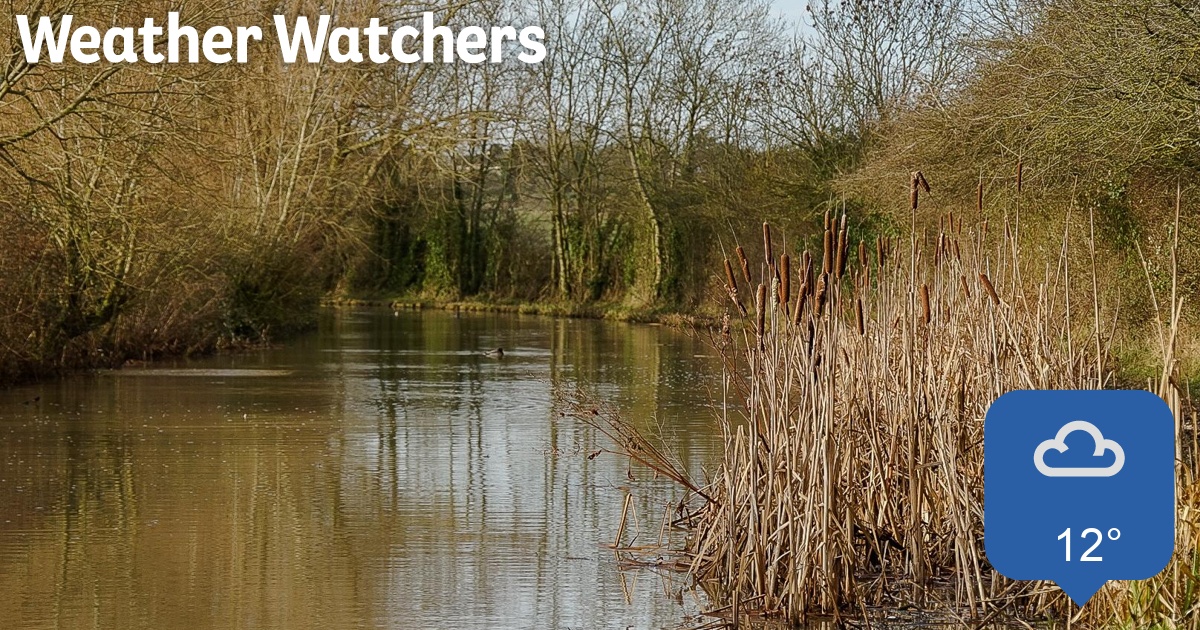 Report BBC Weather Watchers
