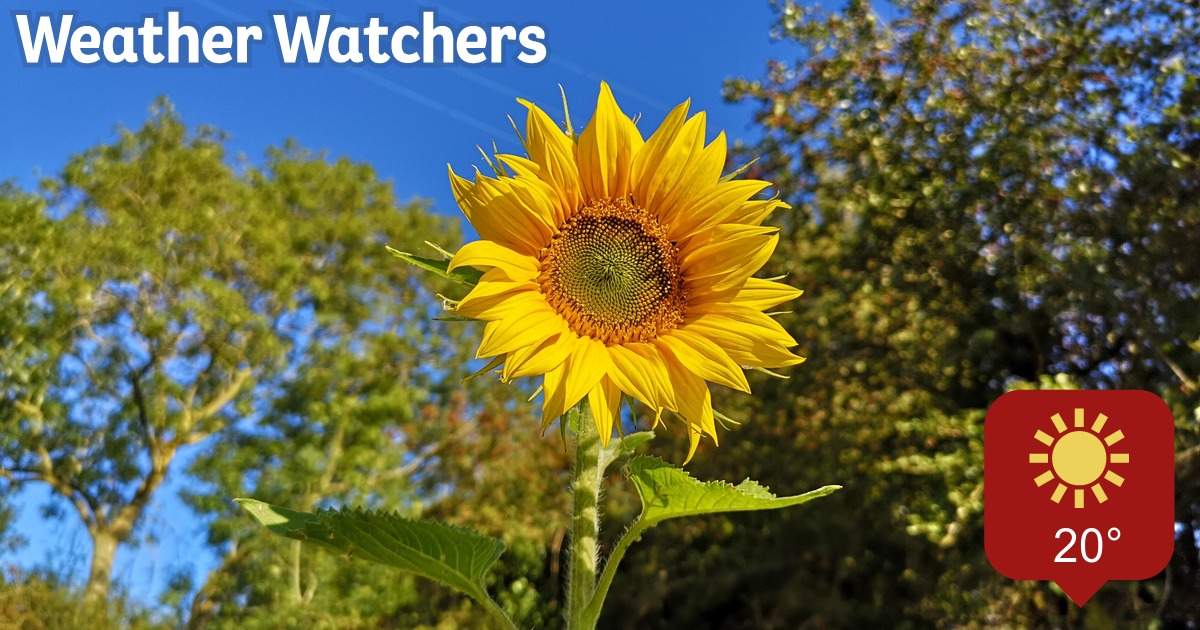 Report - BBC Weather Watchers