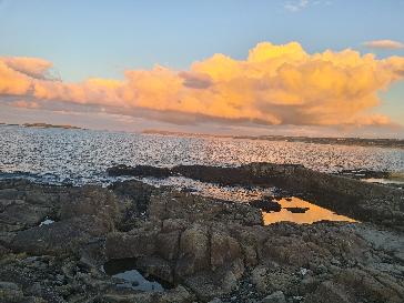 Newtownards Airport - BBC Weather