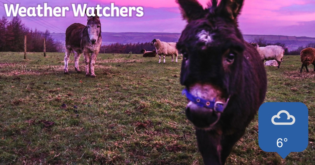 Report BBC Weather Watchers