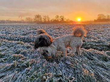 Leicester - BBC Weather