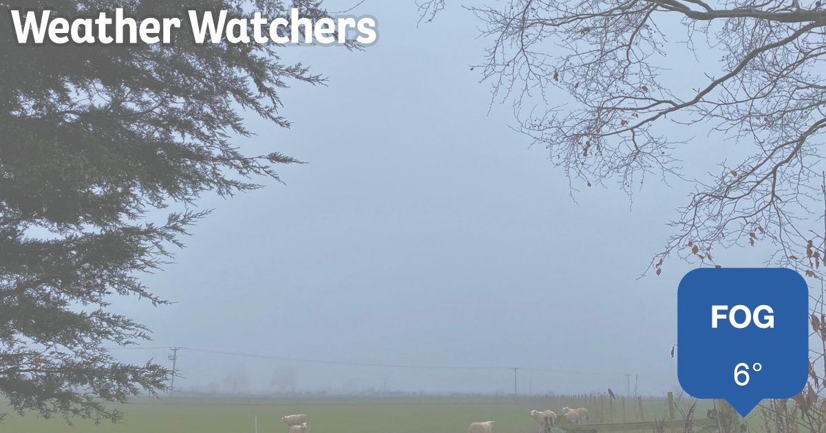 Report - BBC Weather Watchers