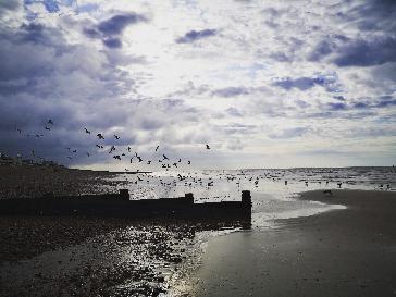 Hastings - BBC Weather