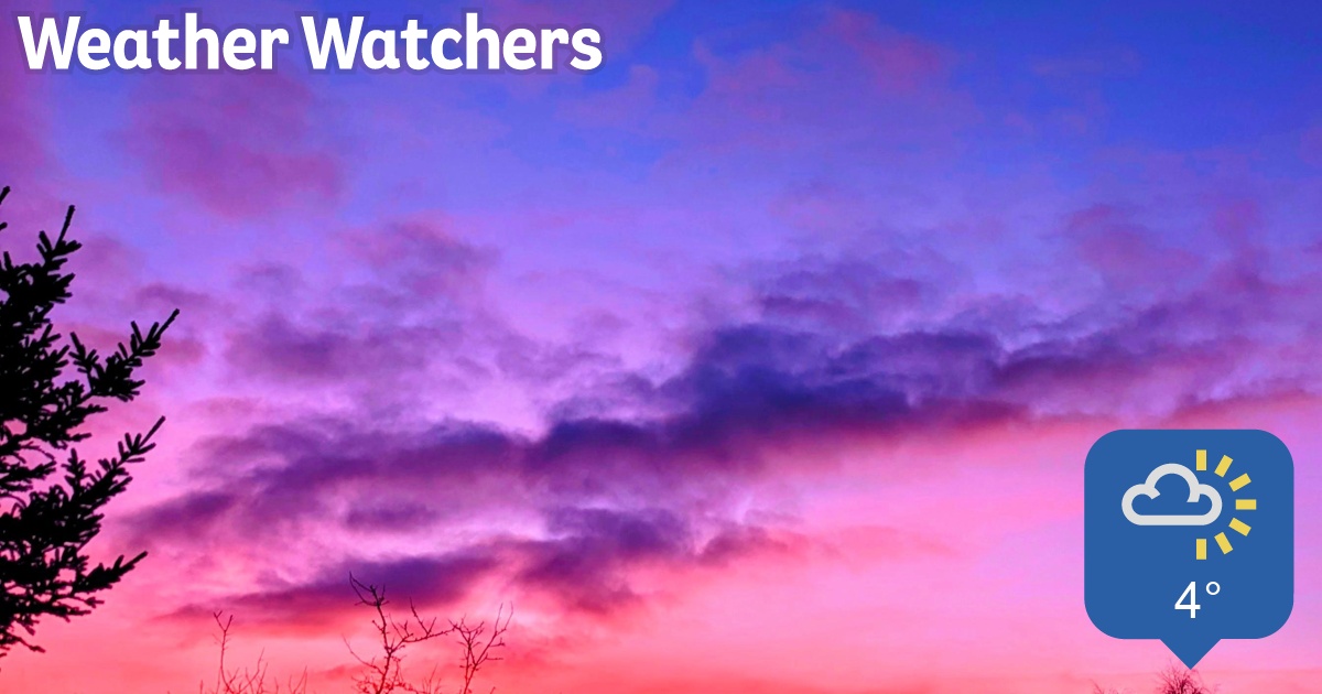 Report BBC Weather Watchers
