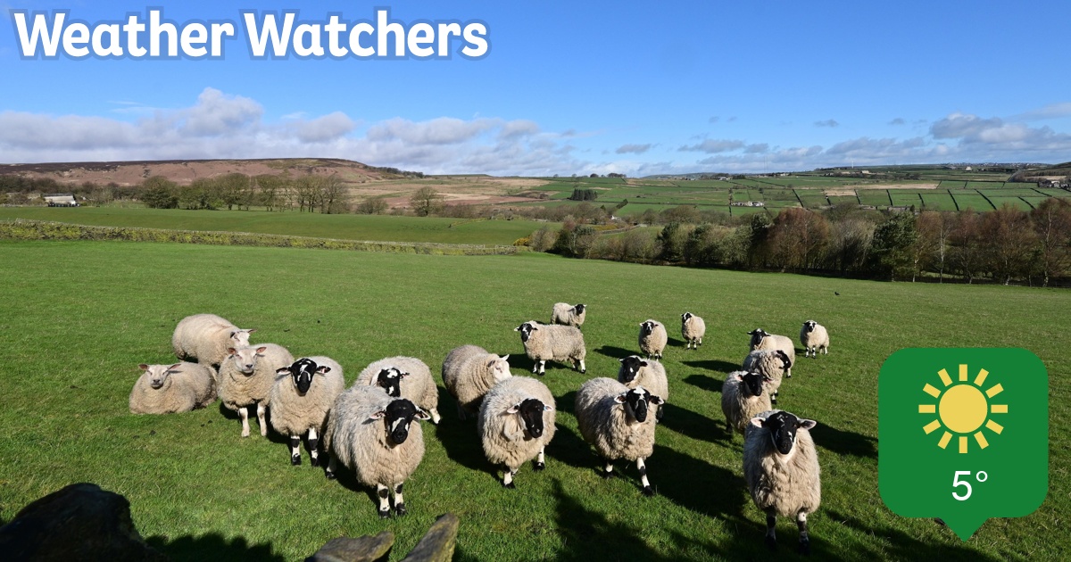 Report BBC Weather Watchers