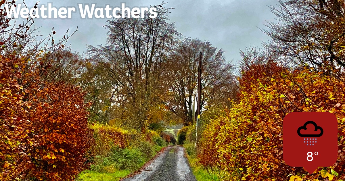 Report BBC Weather Watchers