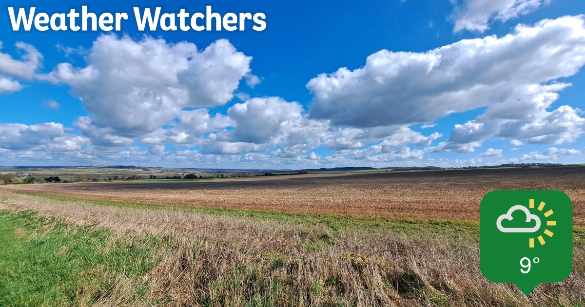 Report BBC Weather Watchers