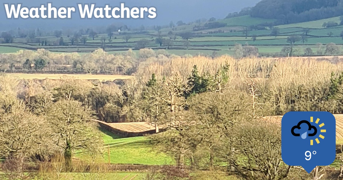 Report BBC Weather Watchers