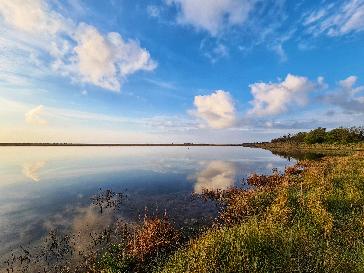 Whitstable - BBC Weather