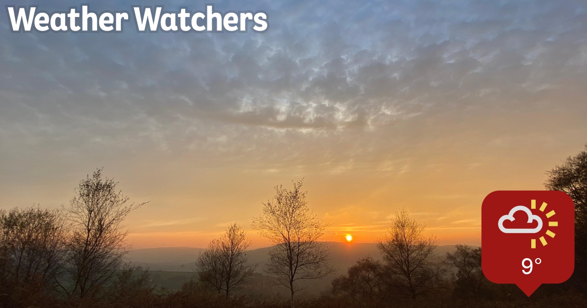 Where To Watch Weathering With You