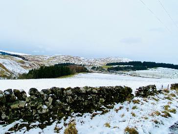 Report - BBC Weather Watchers