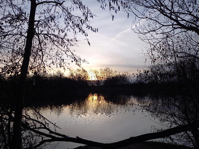 Report - BBC Weather Watchers