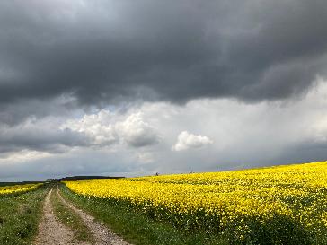 Grimsby - BBC Weather