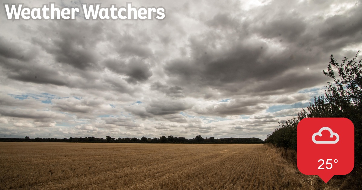 Report - BBC Weather Watchers