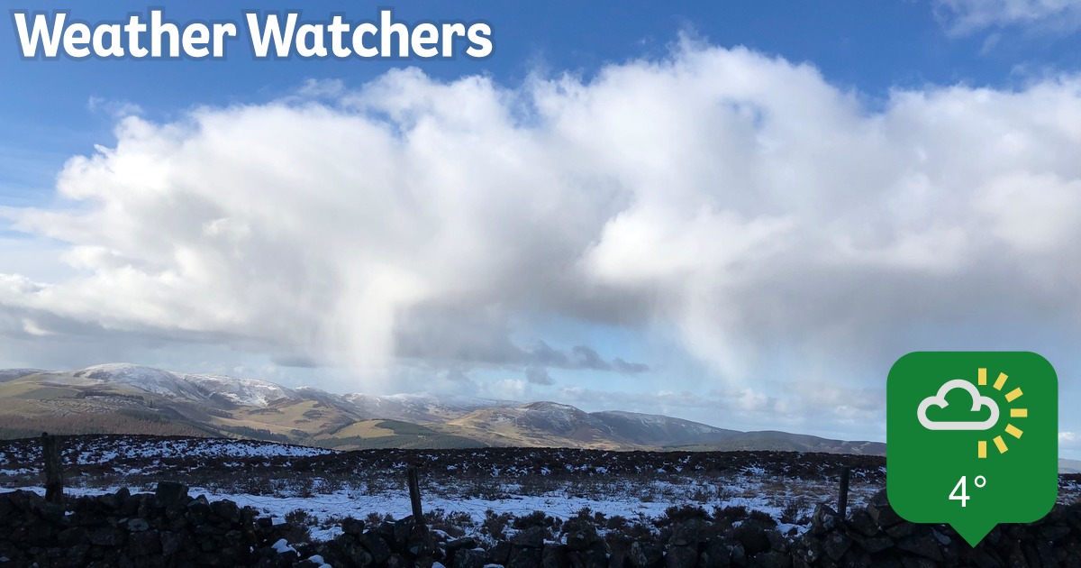 Report - BBC Weather Watchers