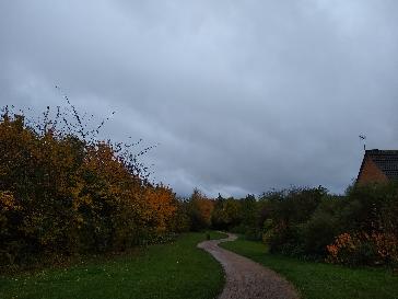 Leicester - BBC Weather