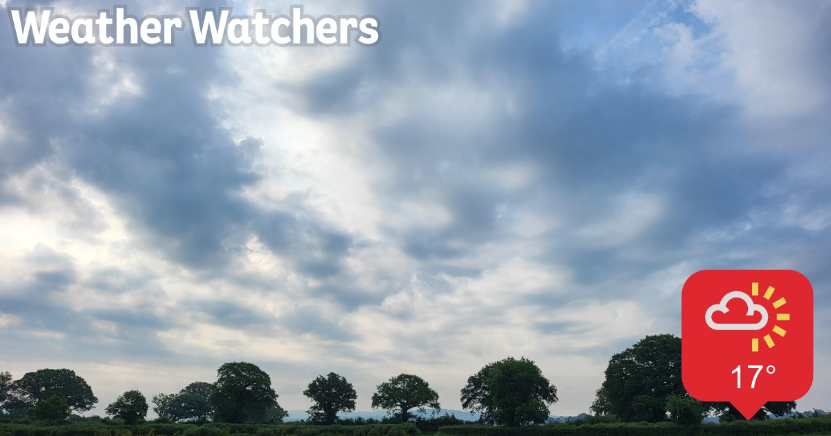 Report - BBC Weather Watchers