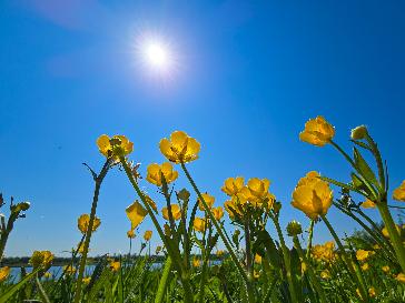 Dewsbury - BBC Weather