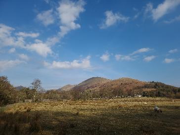 Bishopton - BBC Weather