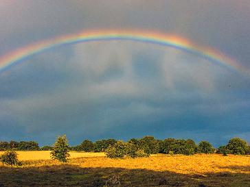 Sheffield - BBC Weather