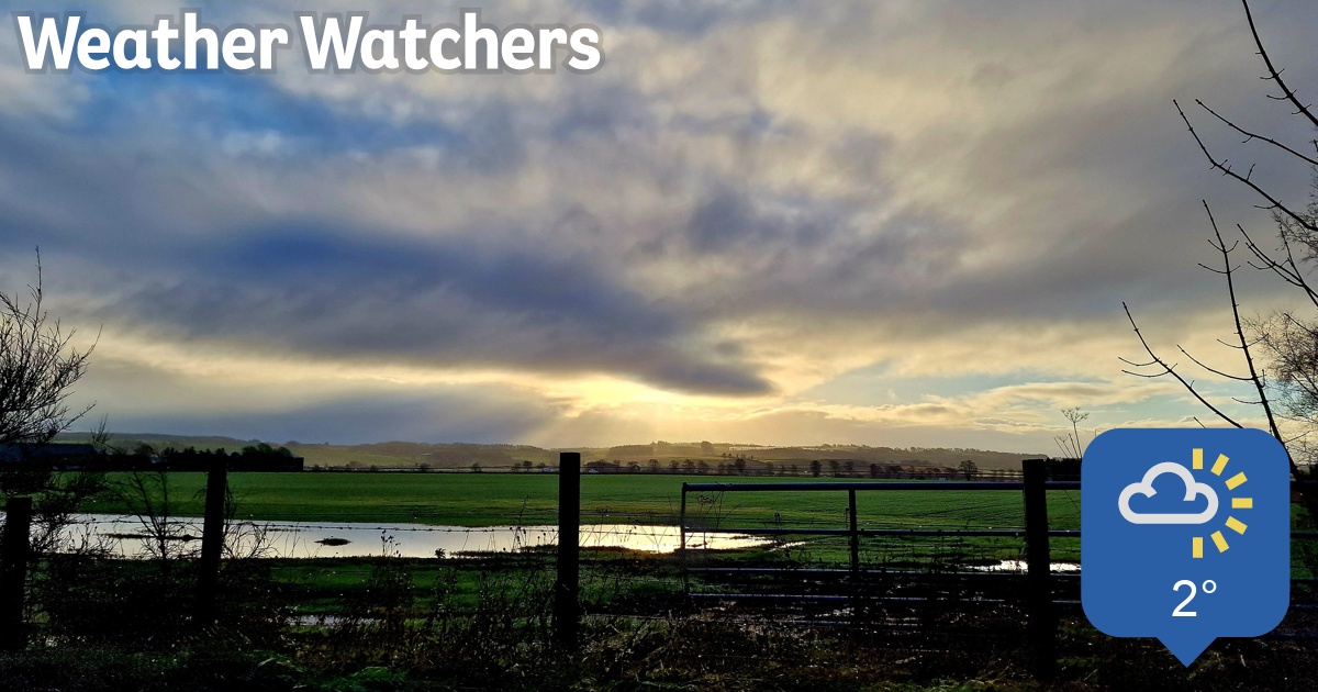 Report BBC Weather Watchers
