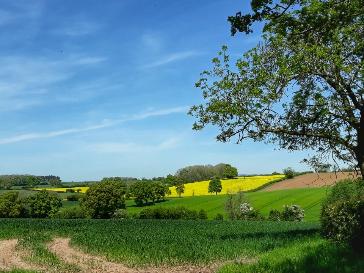 Hereford - Bbc Weather