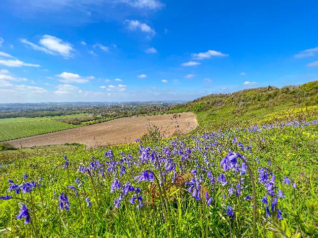 Report - BBC Weather Watchers