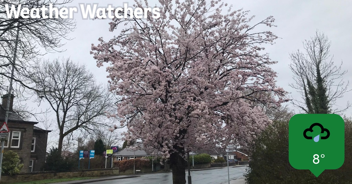 Report BBC Weather Watchers