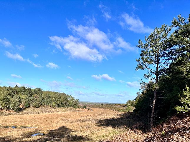 Report - BBC Weather Watchers