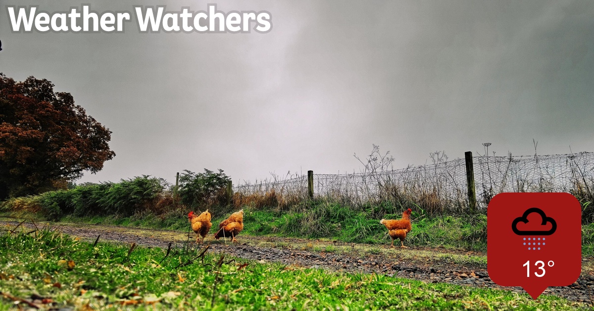 Report BBC Weather Watchers