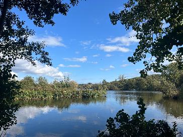 THE 15 BEST Things to Do in Harlow 2025 Tripadvisor