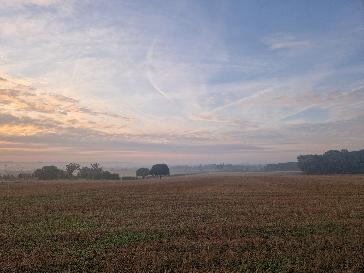 Reading - BBC Weather