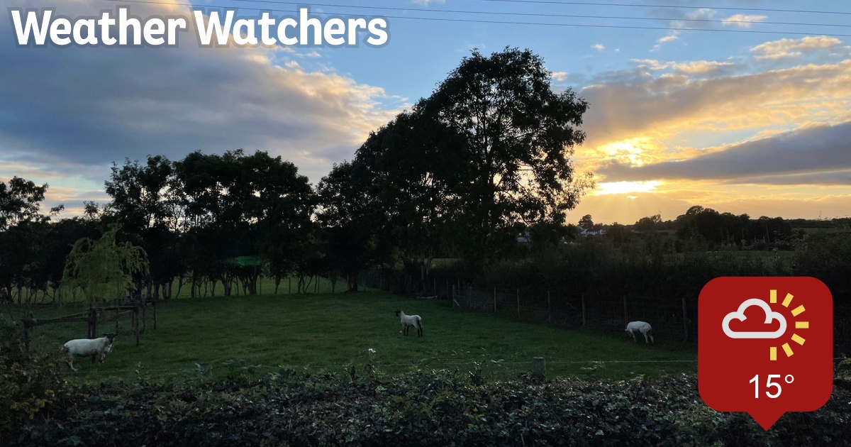 Report BBC Weather Watchers