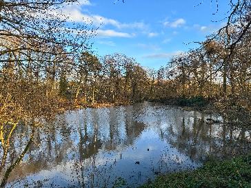 Solihull - BBC Weather