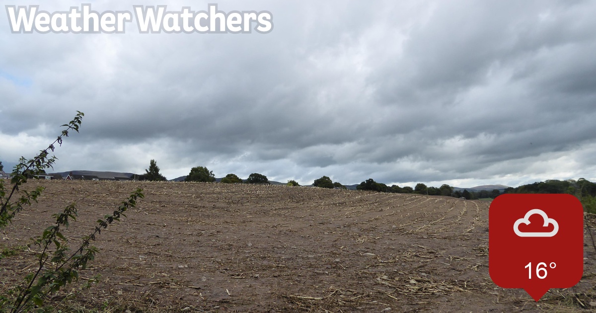 Report BBC Weather Watchers