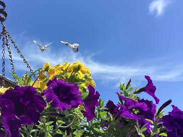 St Helens - BBC Weather