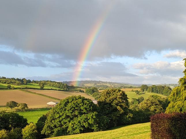 Report - BBC Weather Watchers